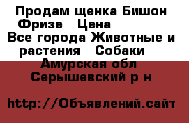 Продам щенка Бишон Фризе › Цена ­ 30 000 - Все города Животные и растения » Собаки   . Амурская обл.,Серышевский р-н